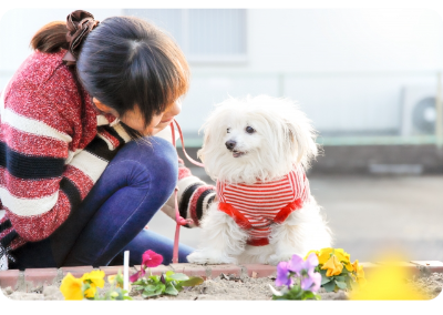 お引き取り葬プラン