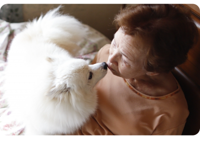 立ち会い収骨葬プラン